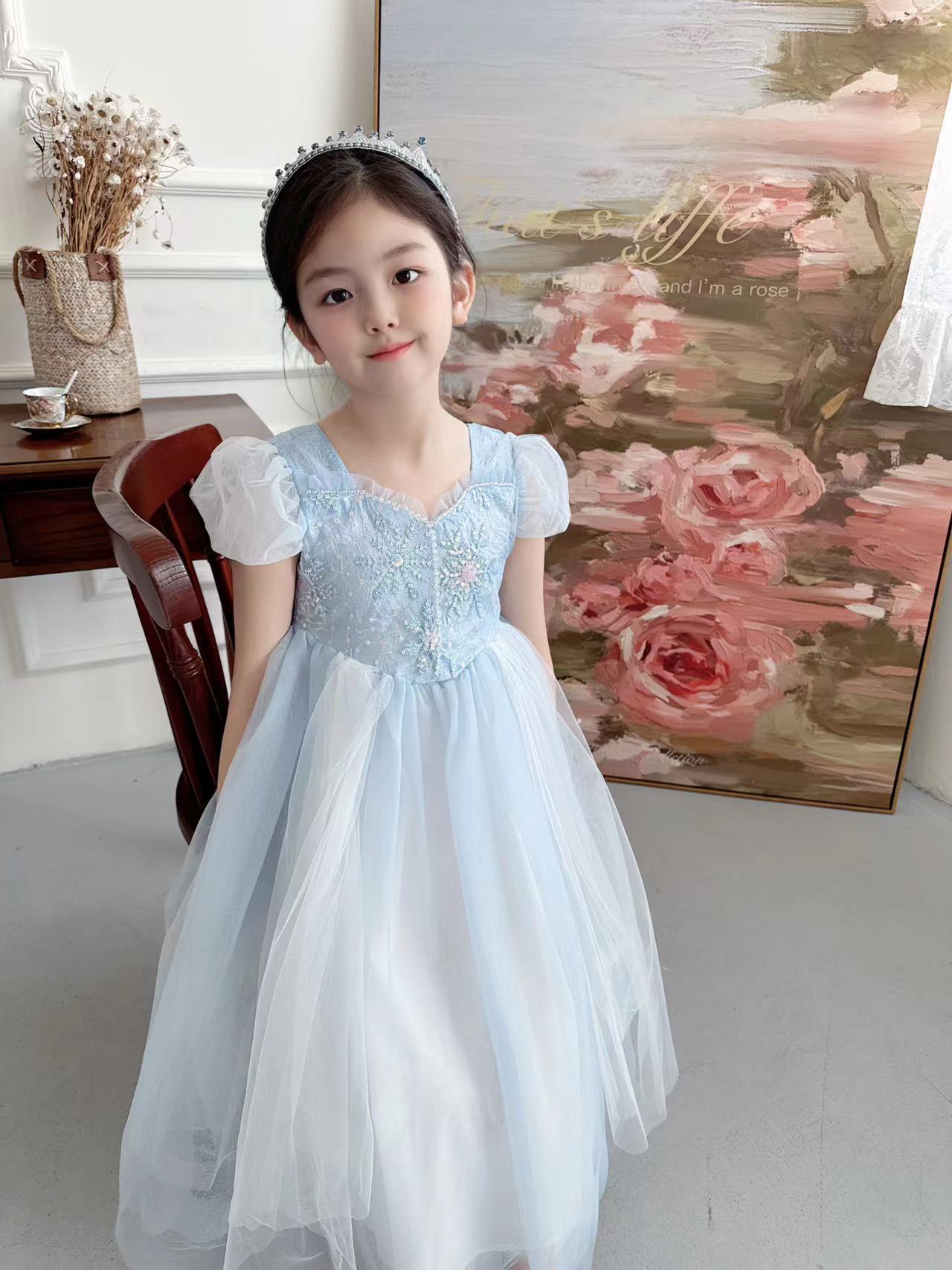 Embroidered Elsa Girls Dress f - مراجعة Baby Z Clothing وسعره