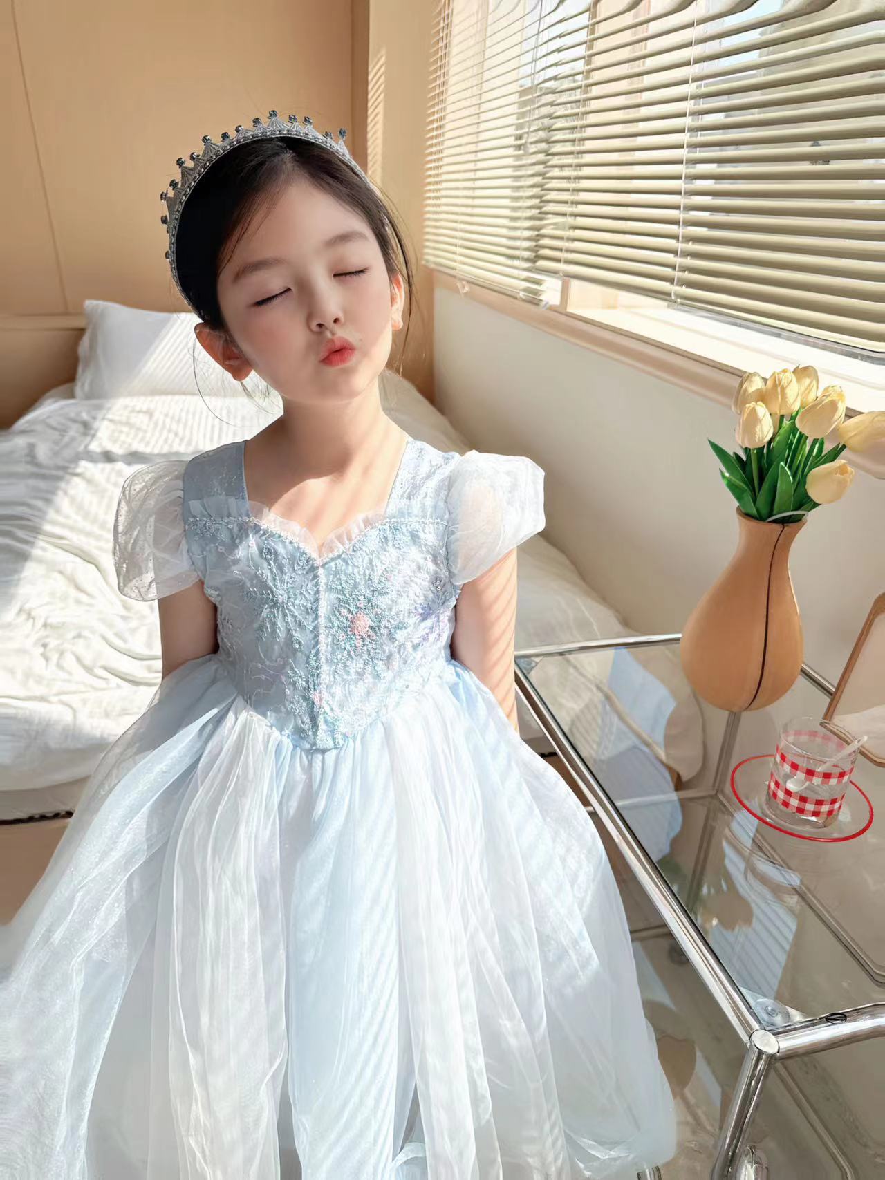 Embroidered Elsa Girls Dress f - مراجعة Baby Z Clothing وسعره